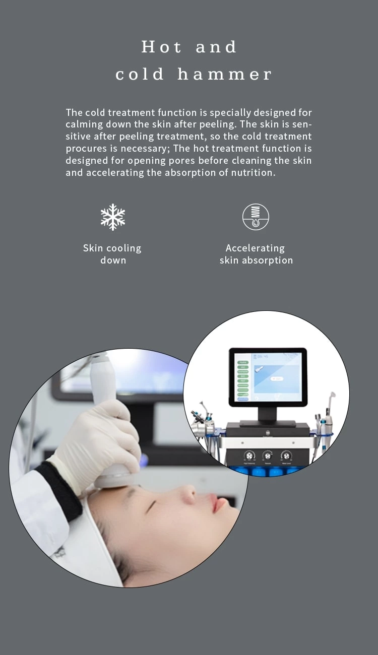 Gesichtspflegemaschine